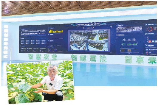 潍坊寿光市——  打造全国绿色健康“菜篮子” 