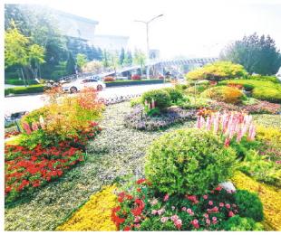 春天的潍坊北海路